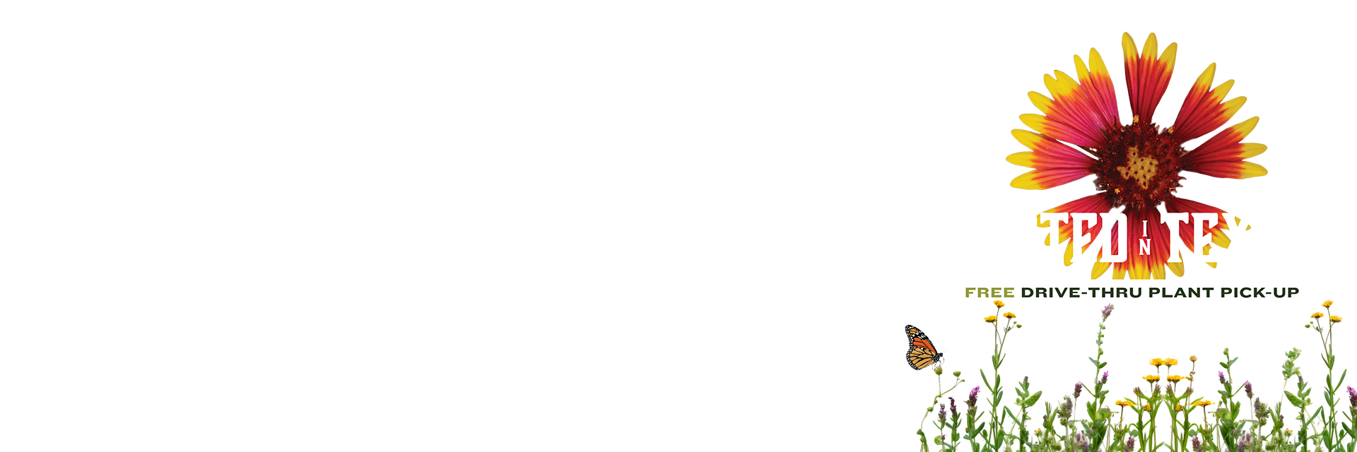 EAA Footer Slider-Plant Giveaway-no background