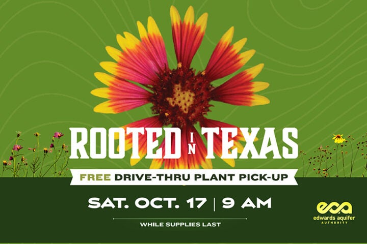 2026 Plant Giveaway Graphic