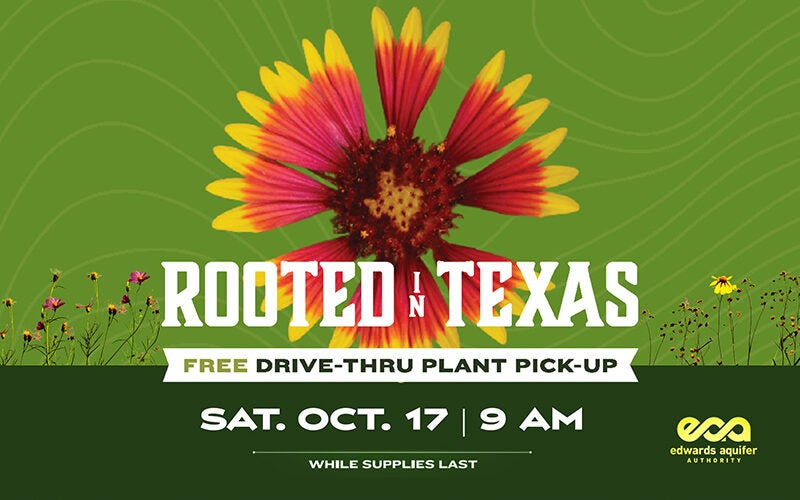2026 Plant Giveaway Graphic