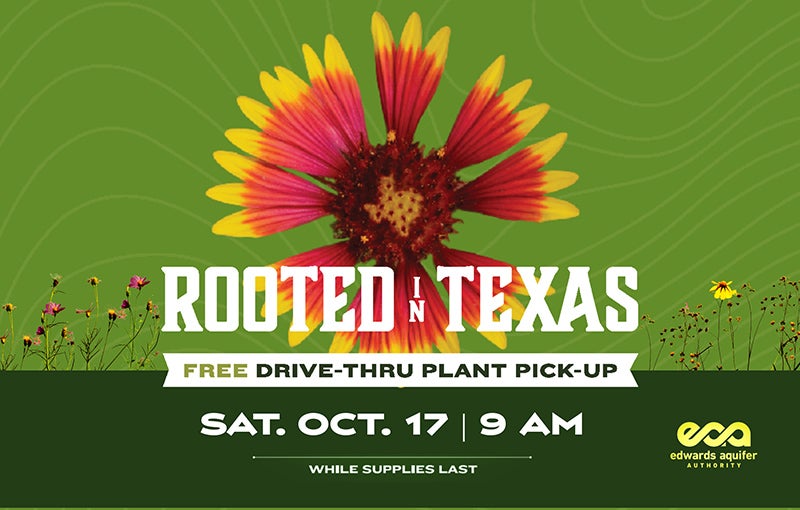 2026 Plant Giveaway Graphic